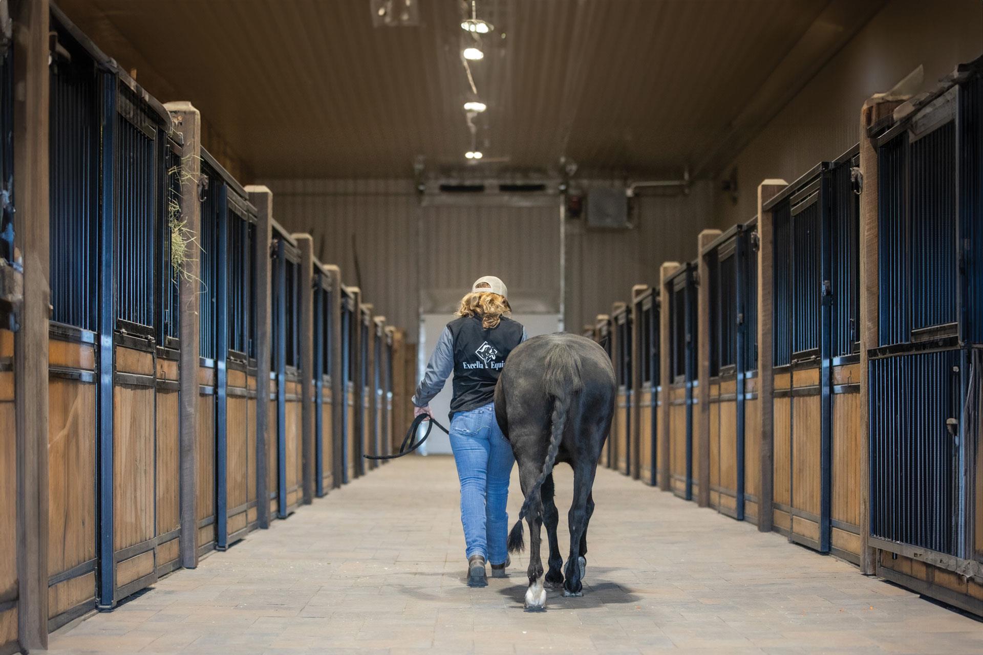Trainer Katie walking a horse through Excella’s barn corridor – professional horse care and training at Excella Equine Park.